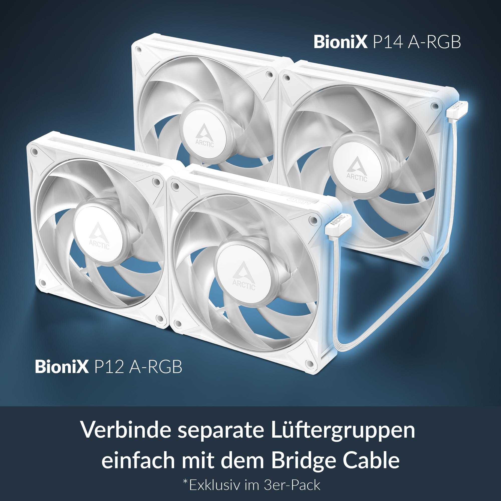 arctic-bionix-p12-a-rgb-120mm-pwm-3er-pack-wei image 6